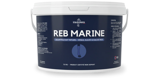 Argile REB MARINE