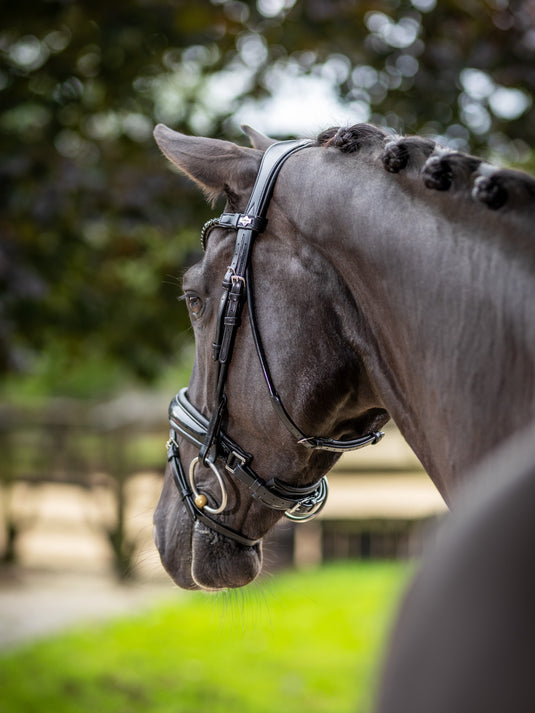 Bridon de dressage Kudos Patent LeMieux noir détail