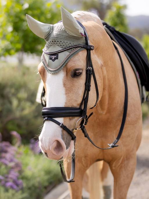 Bonnet Loire