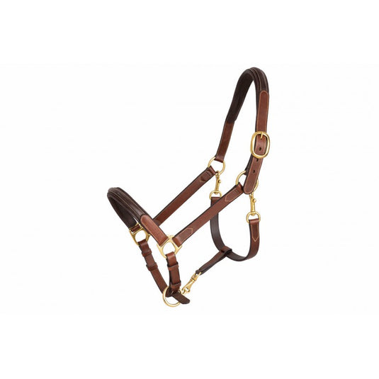 Licol cuir 3 mousquetons havane Paddock Sports
