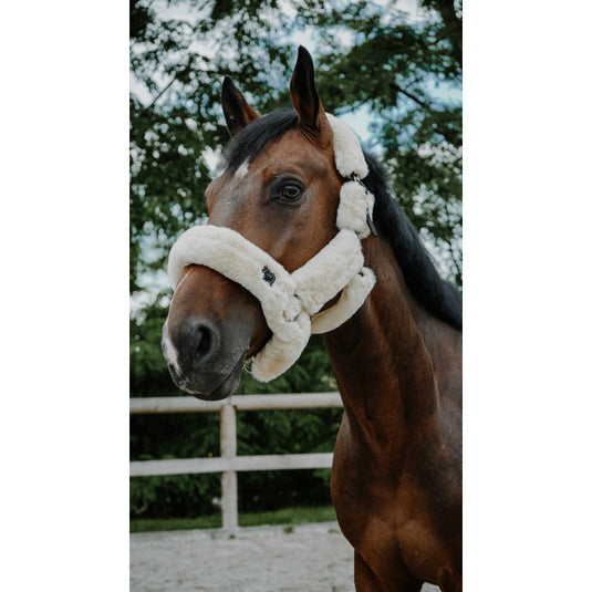 Licol je t'aime EQUITHEME