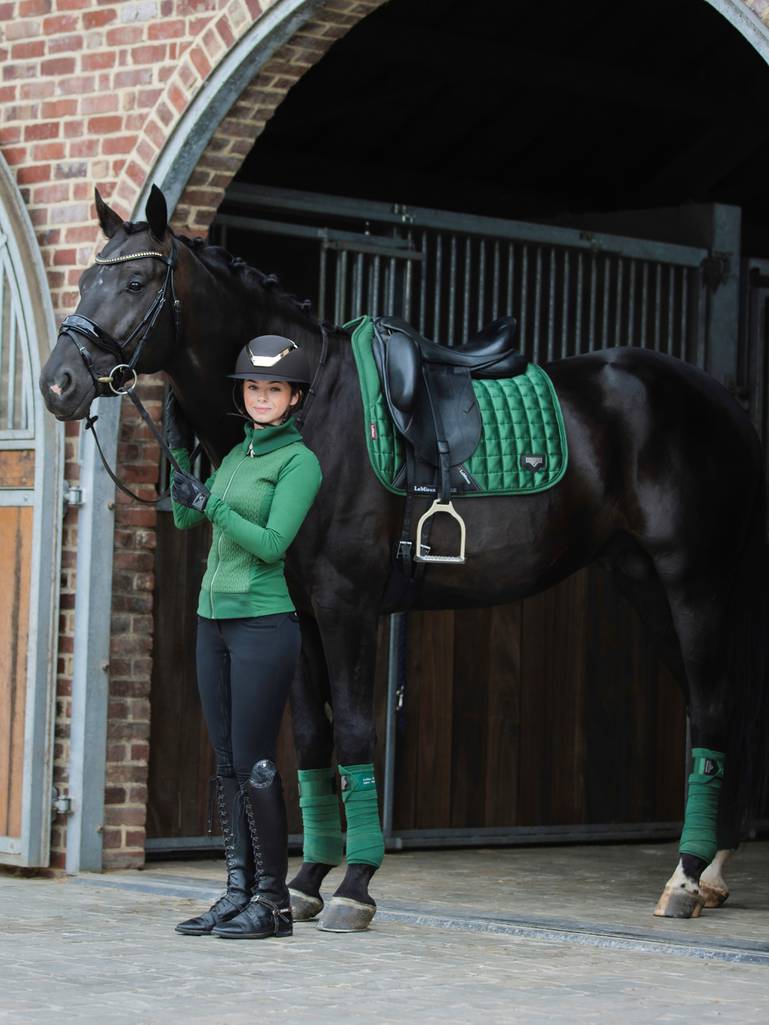 Chargez l&#39;image dans la visionneuse de la galerie, Tapis de selle Loire Dressage
