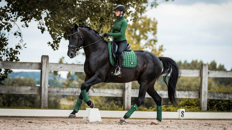 Chargez l&#39;image dans la visionneuse de la galerie, Tapis de selle Loire Dressage
