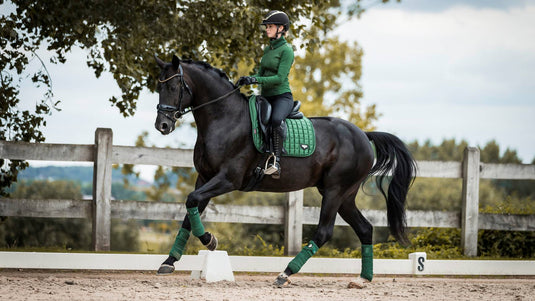 Tapis de selle Loire Dressage