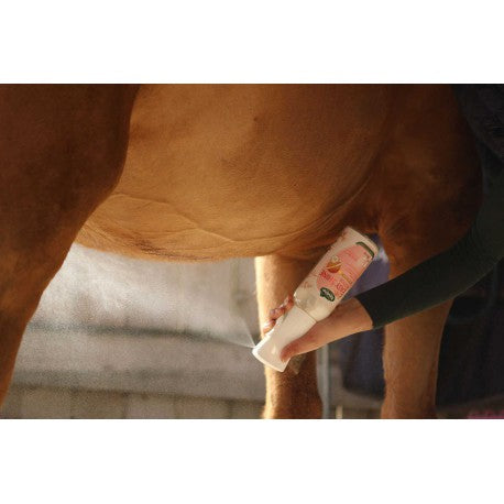 Chargez l'image dans la visionneuse de la galerie, Application d'Easy Shine Intense sur le cheval

