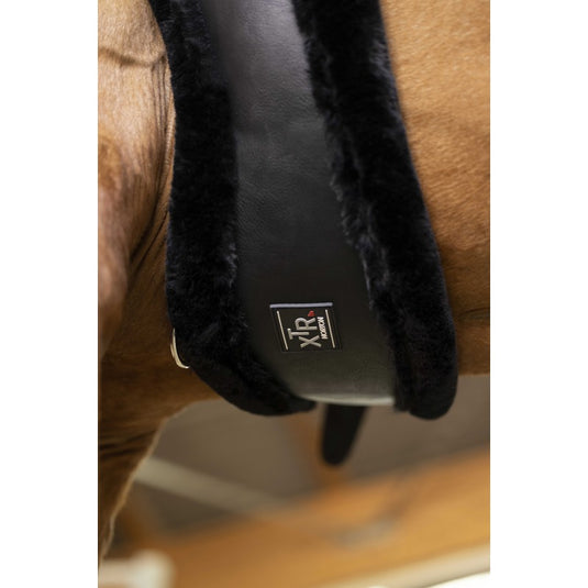 Sangle courte Dressage Noire