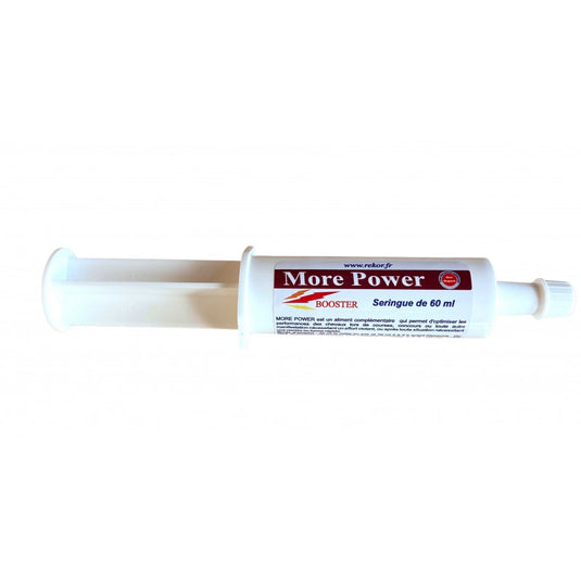 Solution énergétique  More Power