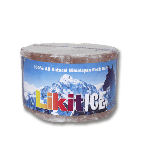 Pierre à sel de l'Himalaya Likit