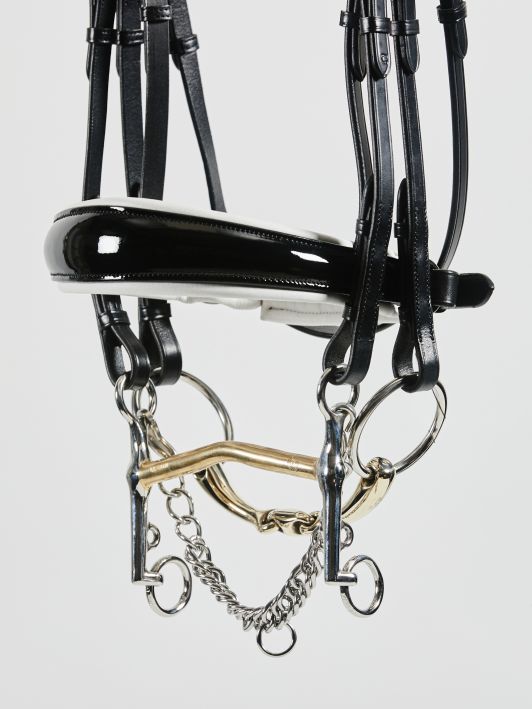 Kingsley Double Bridle Patent