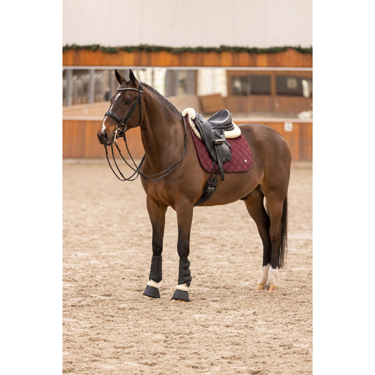 Saddlepad HVPChavelle DR