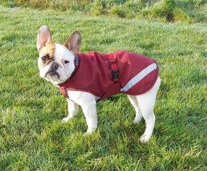 Freedom Dog Rug 50g