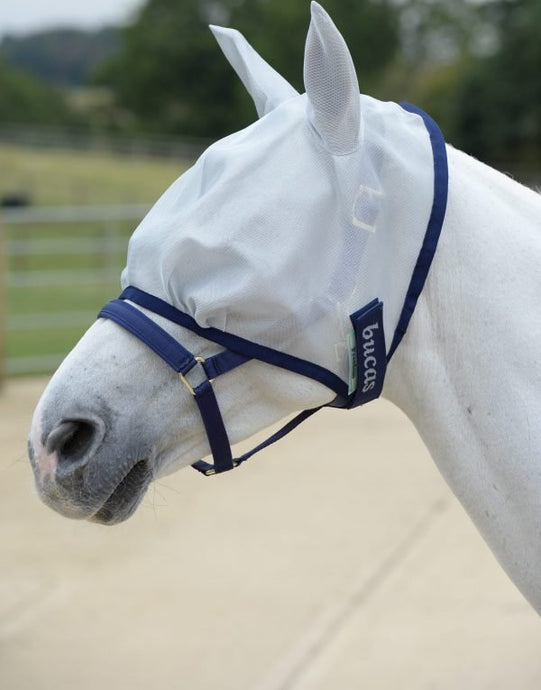 Buzz-off Fly Mask