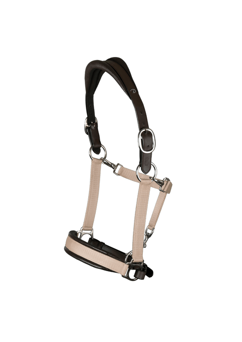 FacynLicols Licol En Cuir PU Pour Chevaux Avec Plomb - Confort Ergonomique Et Résistant