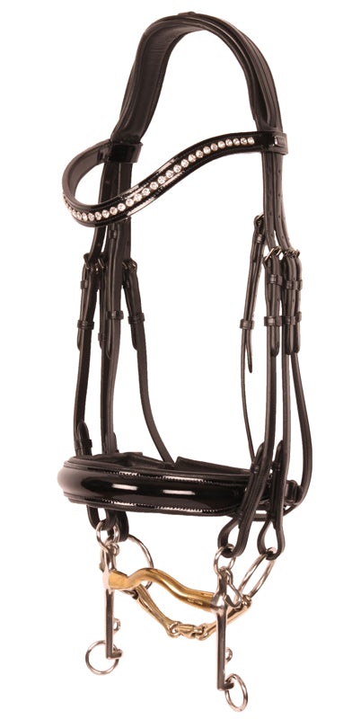 Kingsley Double Bridle Patent